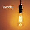 Illuminate - Click to view!